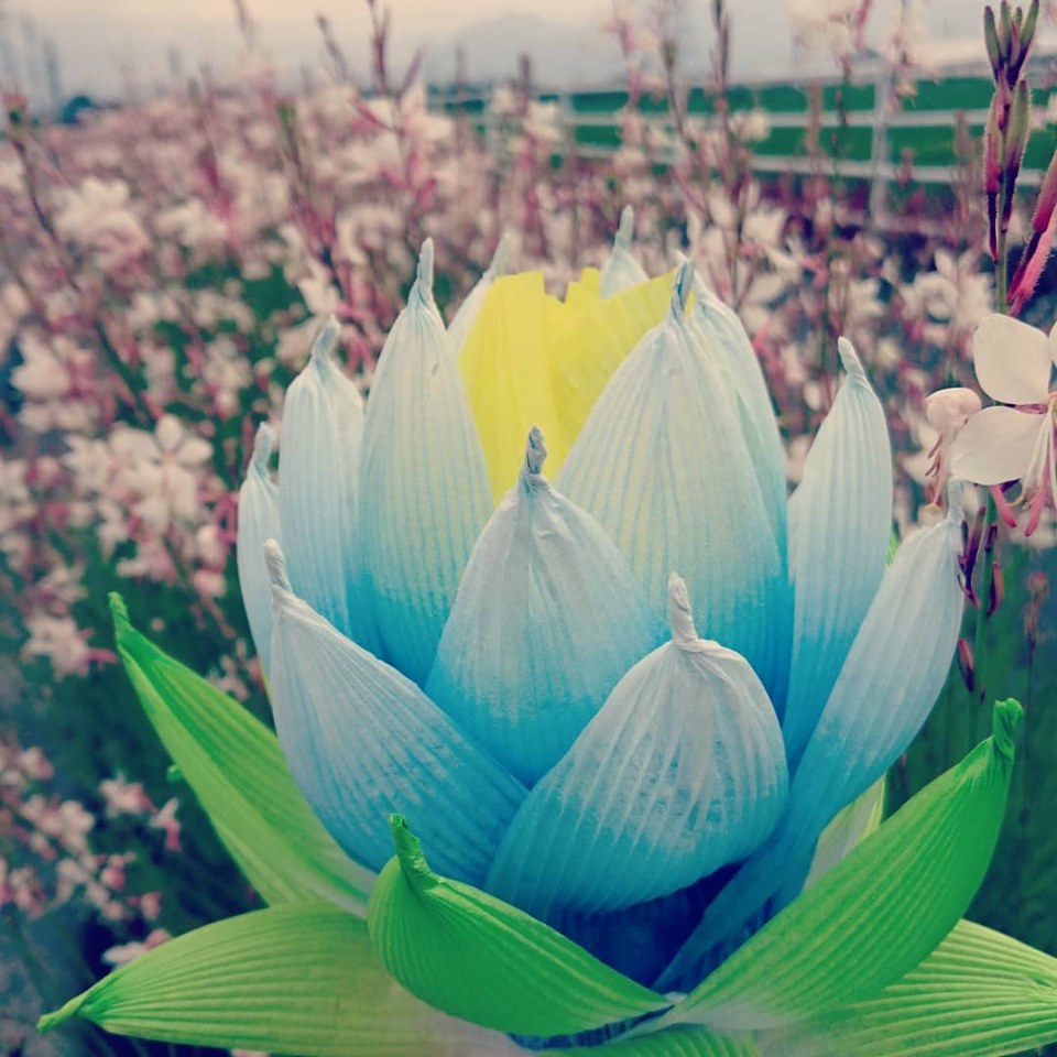 即購入ok!ハスの花紙(ハスワー、ワーク、お盆、蓮ランタン、蓮紙、韓紙、韓国) 即購入ok!ハスの花紙(蓮の花、お盆、蓮ランタン、ハスワー、蓮紙、